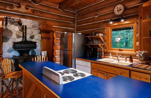 Boyne City Cabin | Cozy Cabin in the Forest close to skiing and Lake Charlevoix