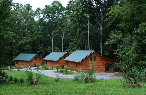 Young Harris Cabin | Cozy Cabin in the North Georgia Mountains - We are open and it's beautiful here!
