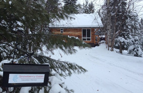 Blaeberry Cabin | Cozy Cabin in the Rockies