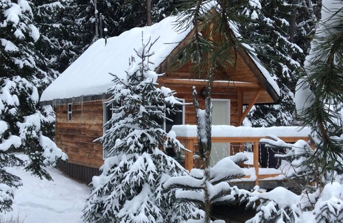 Blaeberry Cabin | Cozy Cabin in the Rockies