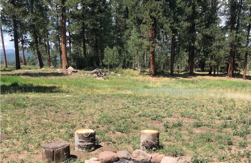 Pagosa Springs Cabin | Cozy Cabin in the Heart of Pristine Wilderness