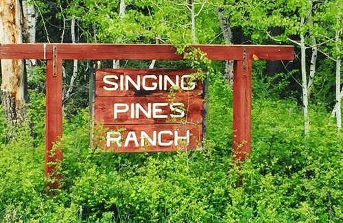 Pagosa Springs Cabin | Cozy Cabin in the Heart of Pristine Wilderness