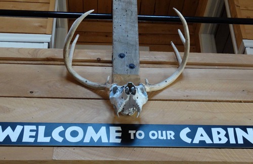 Millerton House | Cozy Cabin in the woods with pool table!