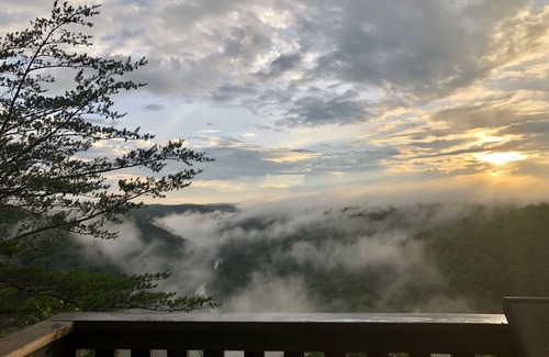 Revelo Cabin | Cozy Cabin Mountain Getaway ~Secluded & Scenic ~ Big South Fork! Relax Explore