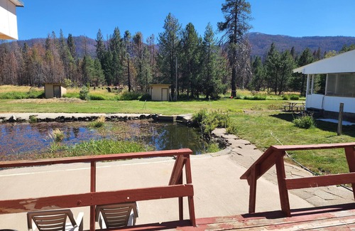 Mill Creek Cabin | Cozy Cabin Near Lassen National Park, California