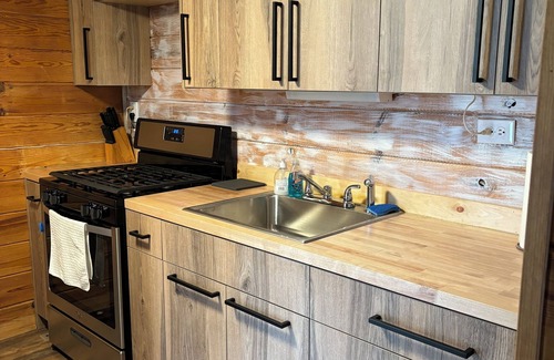 Wellston Cabin | Cozy Cabin near Tippy Dam -Pet Friendly