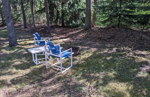 Wellston Cabin | Cozy Cabin near Tippy Dam -Pet Friendly