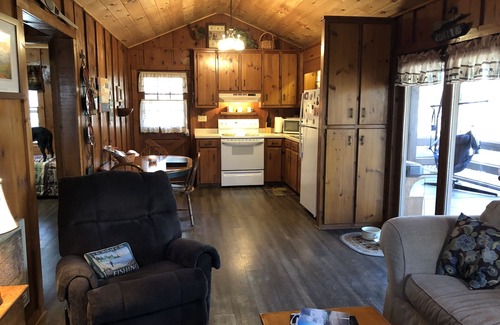 Blue Ridge Cabin | Cozy cabin nestled in woods and close to Downtown Blue Ridge!
