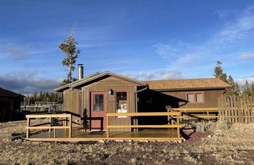 Dubois Cabin | Cozy Cabin * Next to National Forest * Near Yellowstone
