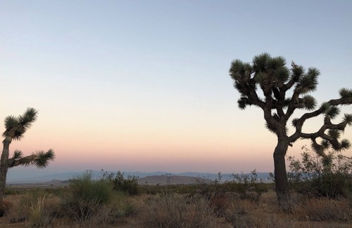 Keene House | Cozy Cabin on 10 Acre Desert Paradise