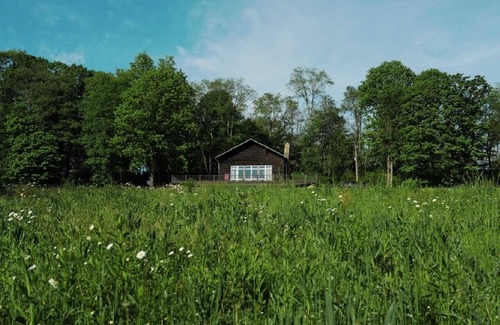 Rockwood Cabin | Cozy Cabin on 84 acres with creek and spring fed pond