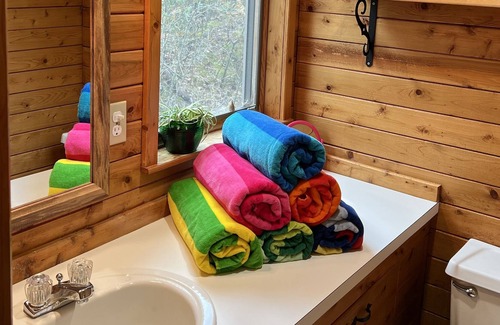 Beaver Island Cabin | Cozy cabin on Donegal Bay with a great view of the night sky-pets welcome!