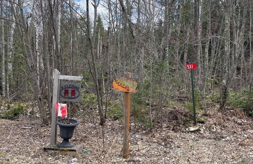 Rainy River District Cabin | Cozy cabin on shores of Rainy Lake - fantastic fishing!
