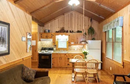 Dahlonega Cabin | Cozy Cabin: River View with Hot Tub