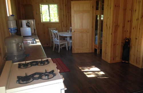 Northern Ontario Cabin | cozy cabin surrouned by mature trees on wabigoon lake