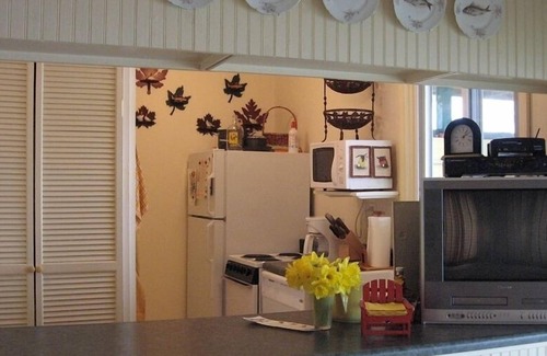 Paw Paw Cabin | Cozy cabin w lake view. Book now for Fall. Pumpkins, apples, campfire. Pets ok!