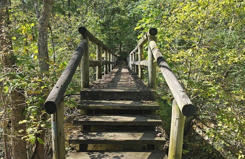 Peaks Cabin | Cozy Cabin w/Natural Beauty! 2-bedroom cabin in wonderful Bedford, VA.
