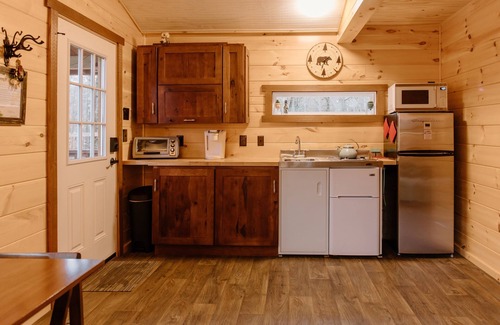 Rock Stream Cabin | Cozy Cabin with private woods in charming Rock Stream NY.