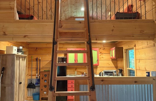 Middletown Springs Cabin | Cozy cabin with private pond near hiking, skiing, biking, fishing. Dog friendly!