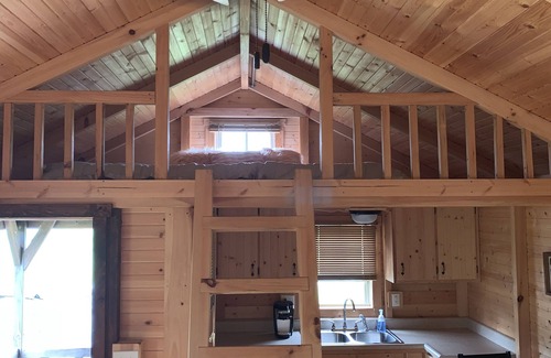 Albany House | Cozy Cabin with private back yard, located 5 min away from Dale Hollow Lake