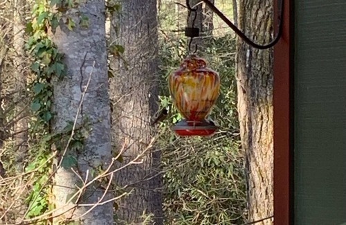 Cashiers Cabin | Cozy cabin within walking distance of Cashiers Crossroads.