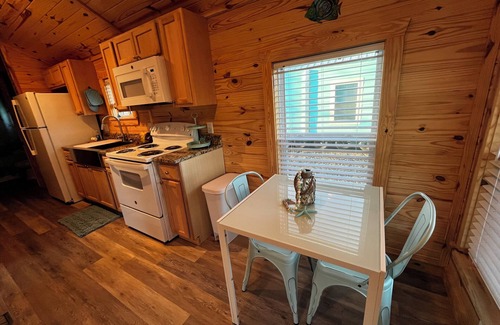 Steinhatchee Cabin | Cozy Cabins-Pet friendly, newly renovated, WiFi, kitchen, 2 bedroom