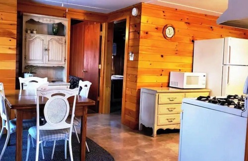 Washington Cabin | Cozy Camp in the woods surrounded by nature.!