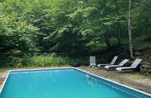 Long Eddy Cabin | Cozy Catskills cabin with POOL outside Callicoon by the Delaware River