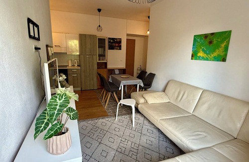 Postojna Apartment | Cozy Central Apartment with Parking & AC near Postojna cave.