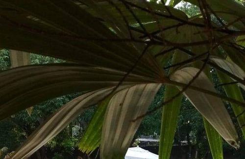 Guararema House | Cozy chacara with pool family atmosphere - Guararema.