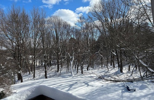 Long Pond Ski Chalet | COZY CHALET-CAMELBACK & KALAHARI; HOT TUB, PING PONG & POOL TABLE; GAS FIREPLACE