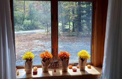 Mount Holly Ski Chalet | Cozy chalet minutes from Okemo Mtn & VAST