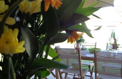 Veauchette Cottage | Cozy Chalets by the Pond with Terrace, Outdoor Activities, and Spa in Veauchette