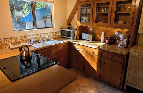 Glencoe Cabin | Cozy & Charming Sierra Nevada mts cabin 40 minutes from Kirkwood Ski resort.