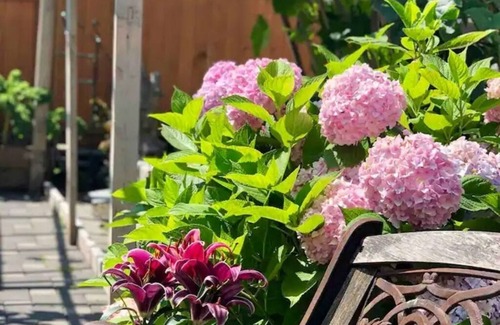 Fraserview House | Cozy, Comfortable and Clean Home. Close to Transit, Restaurants, Park and Pool!
