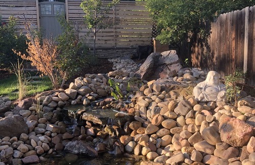 Historic Fort Collins High School House | Cozy, Comfortable Cottage Old Town Fort Collins