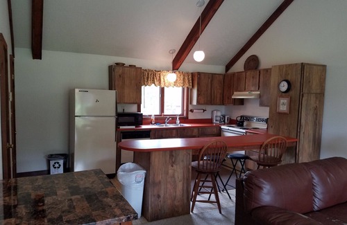 Swain Condo | Cozy Condo #3 Next to Swain Resort!