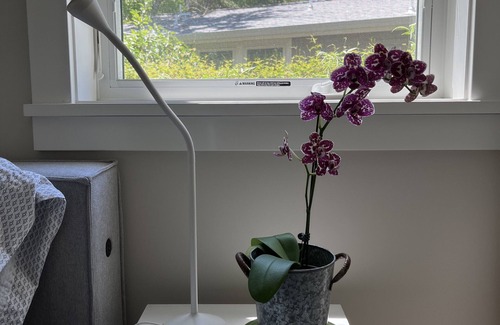 Lafayette Cottage | Cozy contemporary cottage in downtown Lafayette near shops and restaurants