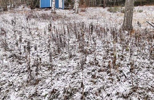 Kramfors Municipality House | Cozy cottage near "High Coast", Angermanland, Sweden