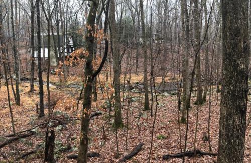 Bushkill Ski Chalet | Cozy Cottage at Saw Creek
