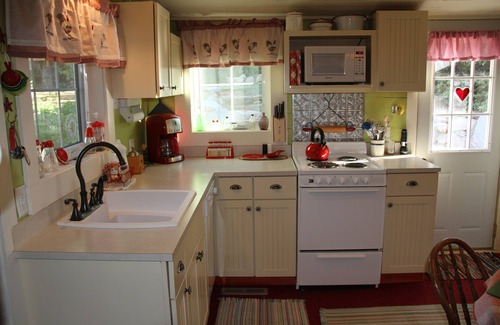 Georgetown Cottage | Cozy Cottage in Historic Silver Plume