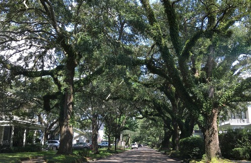 Mobile Cottage | Cozy cottage minutes from downtown Mobile, Top Golf, Bel Air Mall, and more .