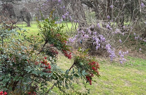 Rosston Cottage | Cozy cottage nestled next to Hart's Creek, surrounded by trees and wildlife.