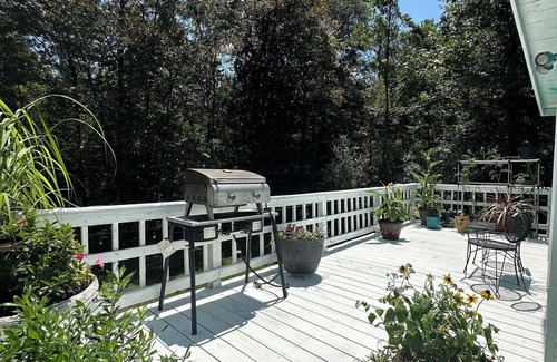 Gulfport House | Cozy cottage, scenic trails to river for kayak launch and peaceful fishing.