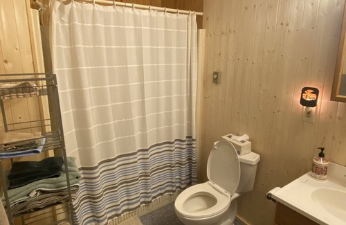 Mancelona House | Cozy Cottage - Snowmobile/Side by Side Friendly - Pets Welcome