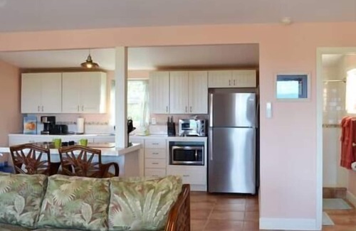 William's Town House | Cozy Cottage with beautiful Ocean Views! Minutes to TOC!
