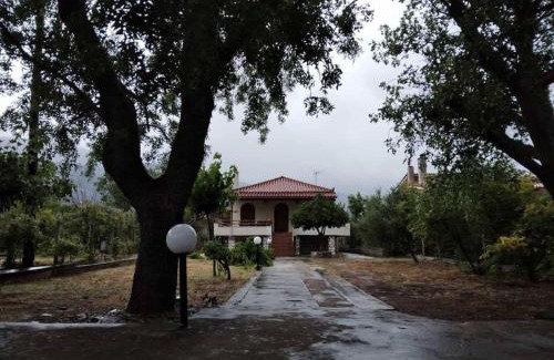 Sipiada House | Cozy Country house