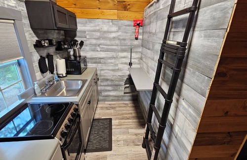Townville Apartment | Cozy Cove Cabin on Lake Hartwell in Townville SC