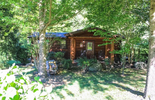 Cosby Cabin | Cozy Creek: Cozy Cabin with Large Deck Overlooking Mountain Stream