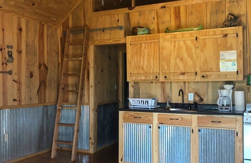 Perkinston Cabin | Cozy Creekside Cabin Retreat on the creek with 2 beautiful sandbars!